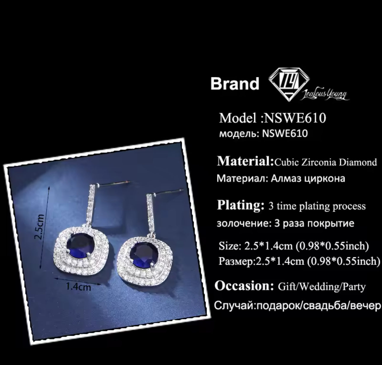 Earrings
