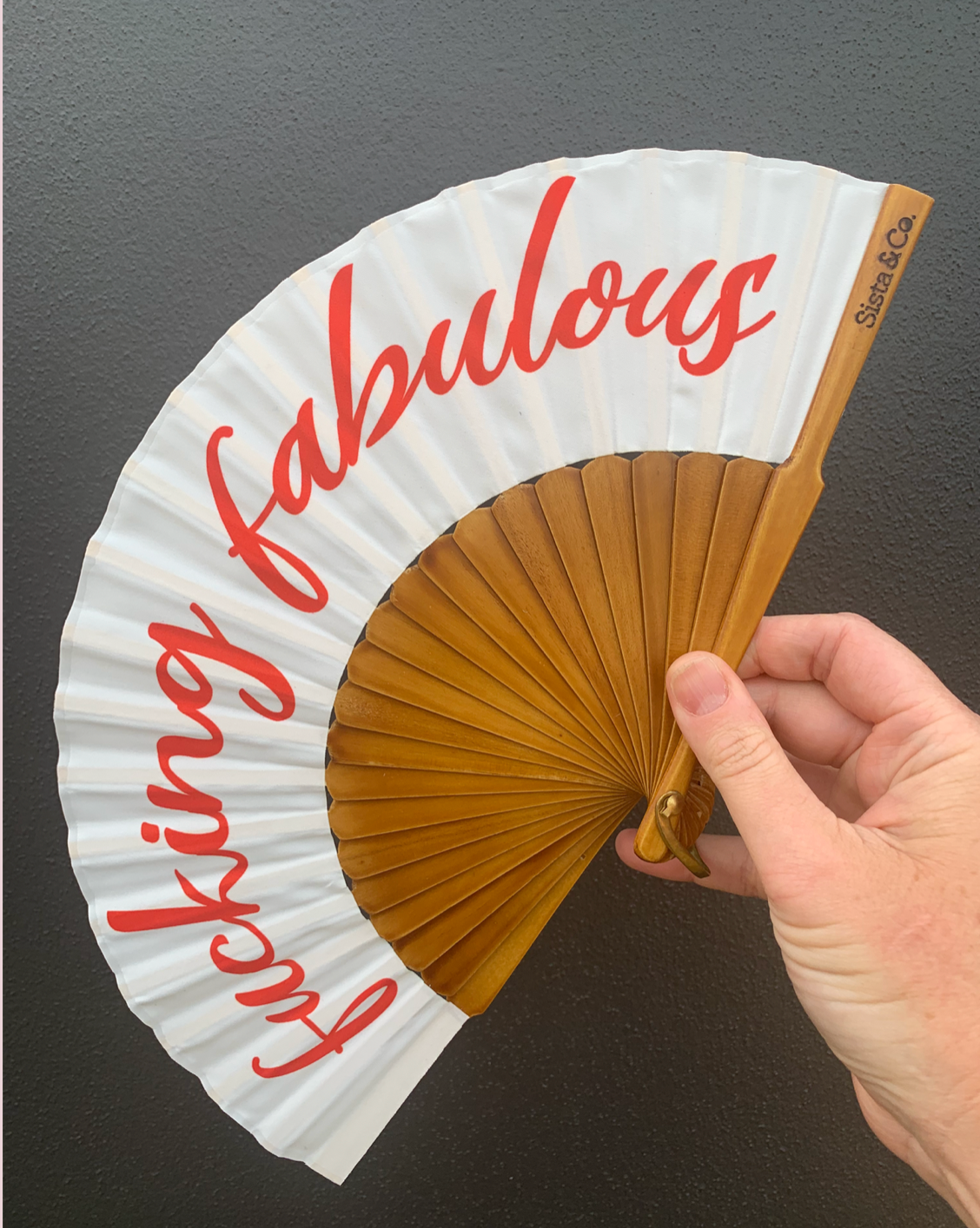 F#$!ing Fabulous Fan