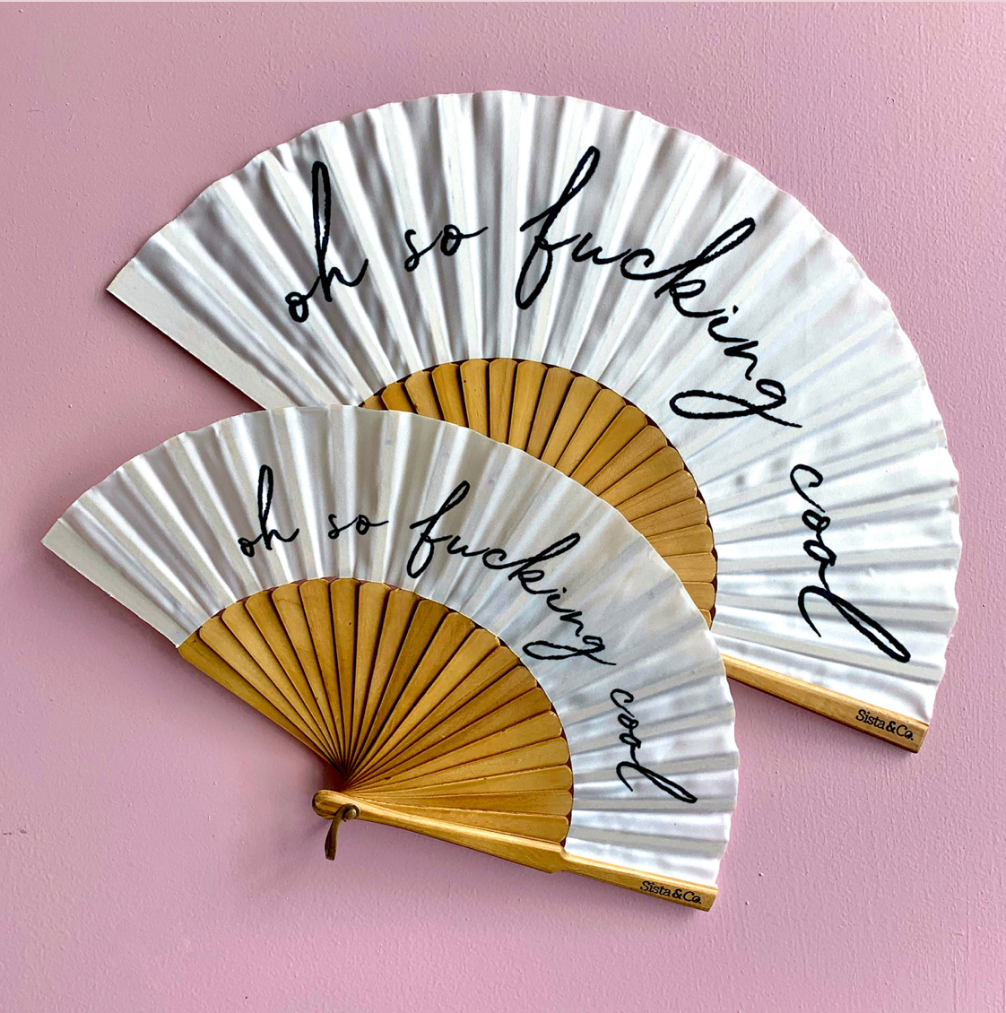 Oh So F#%!ing Cool Fan