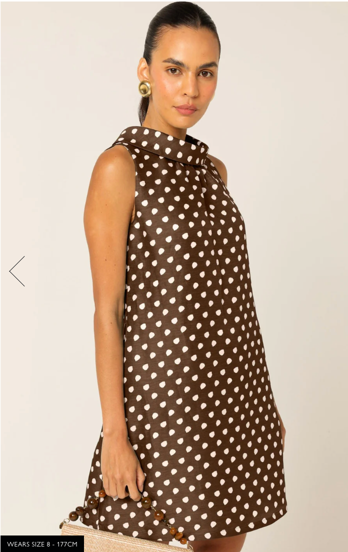 Jolie Shift Dress