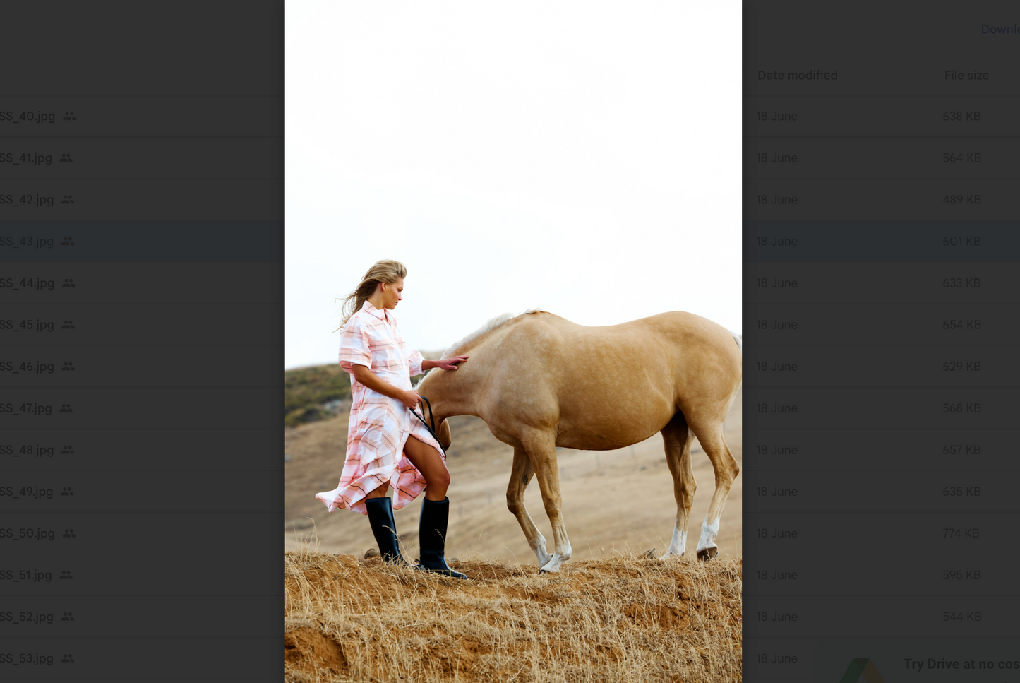 Rising Trot Dress