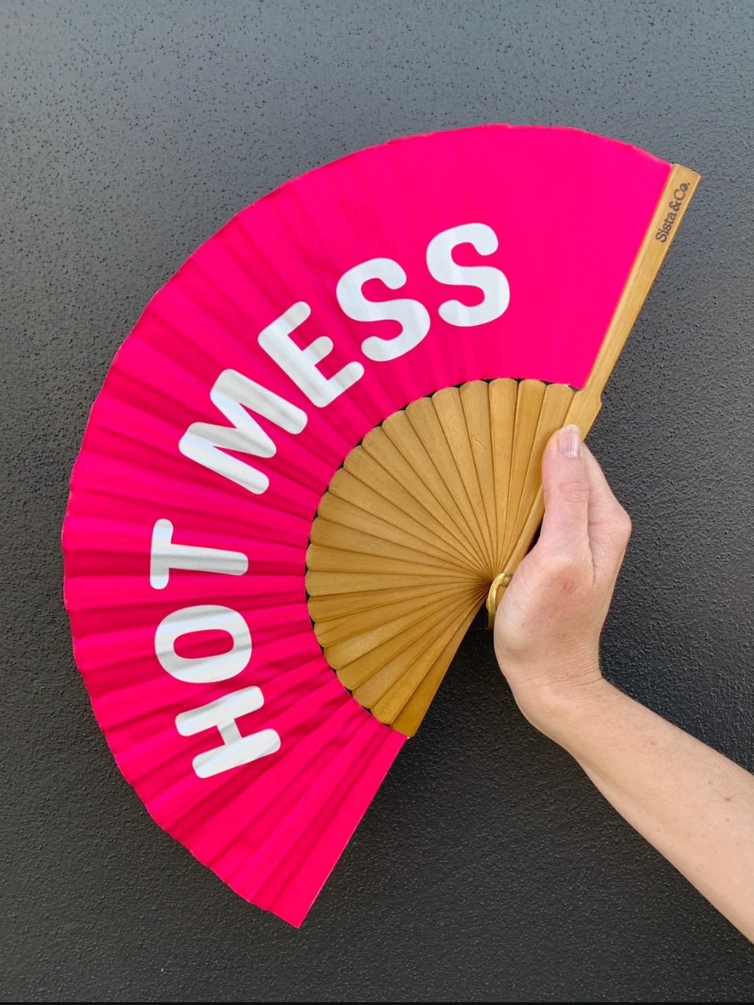 Hot Mess Mini Fan