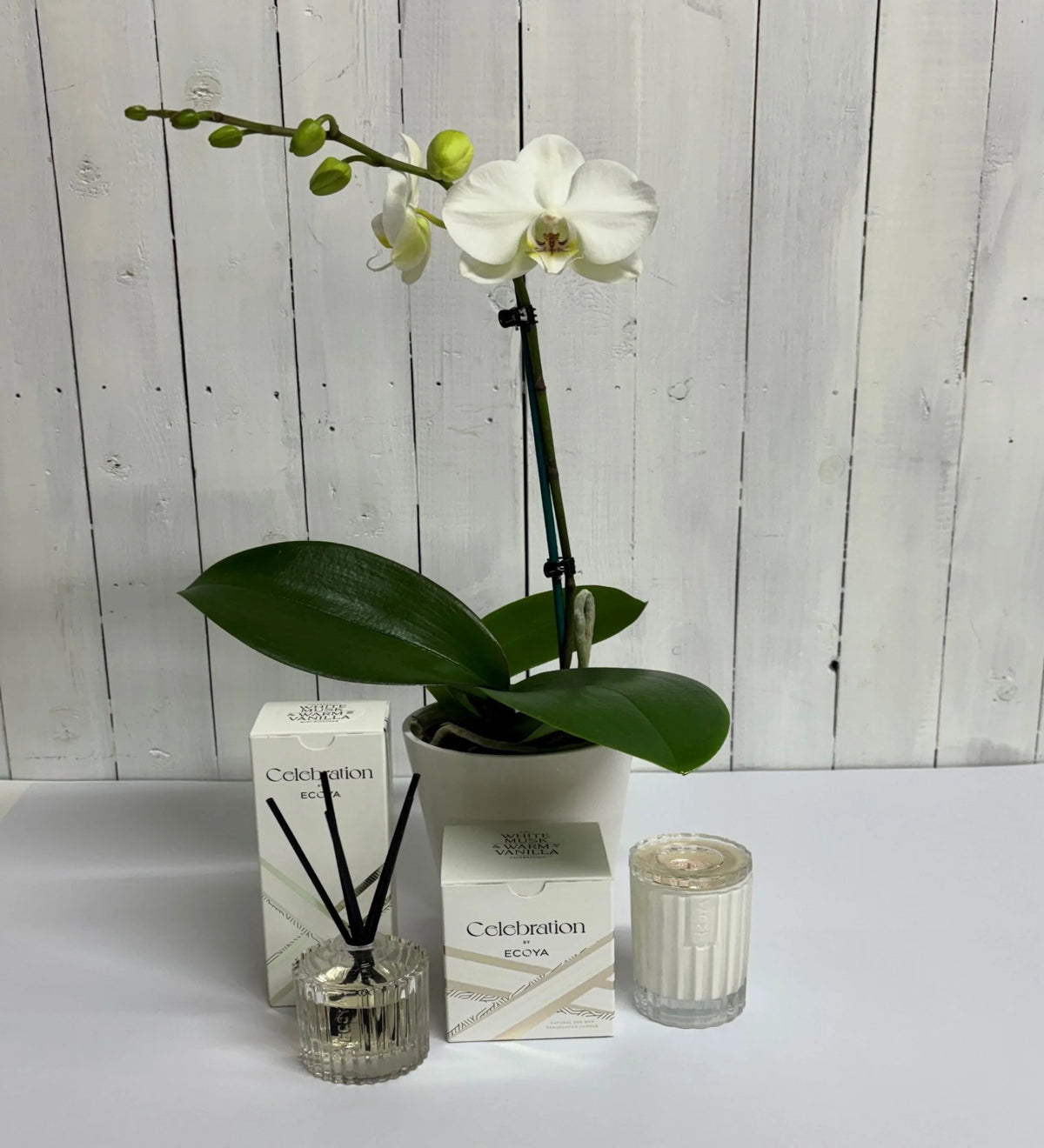 Ecoya 'Celebration' GIFT SET