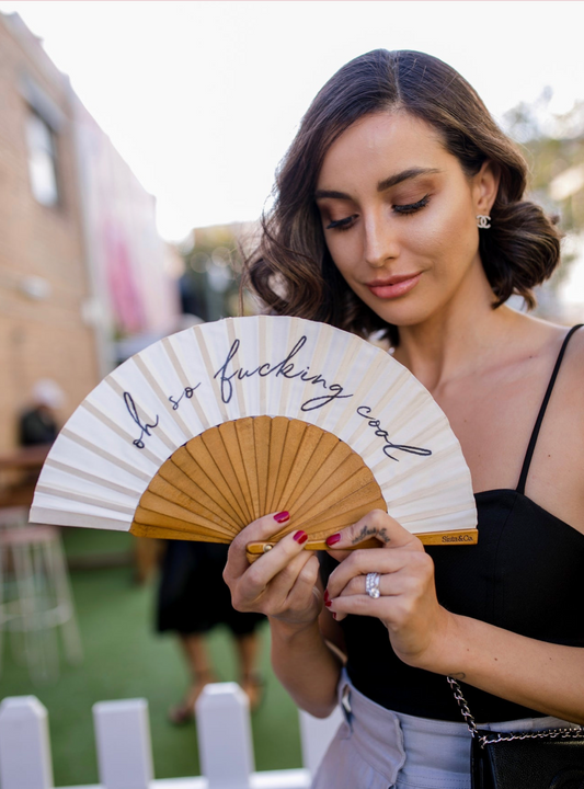 Oh So F#%!ing Cool Fan