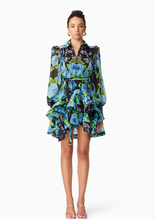 Briony Dress Blackmulti