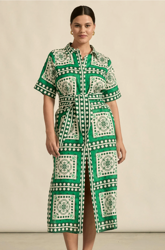 Roam Dress in Parrot Scarf