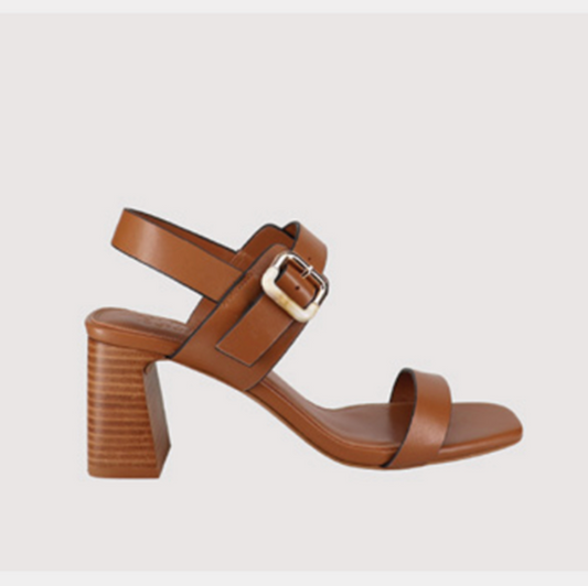 Sacha in Tan