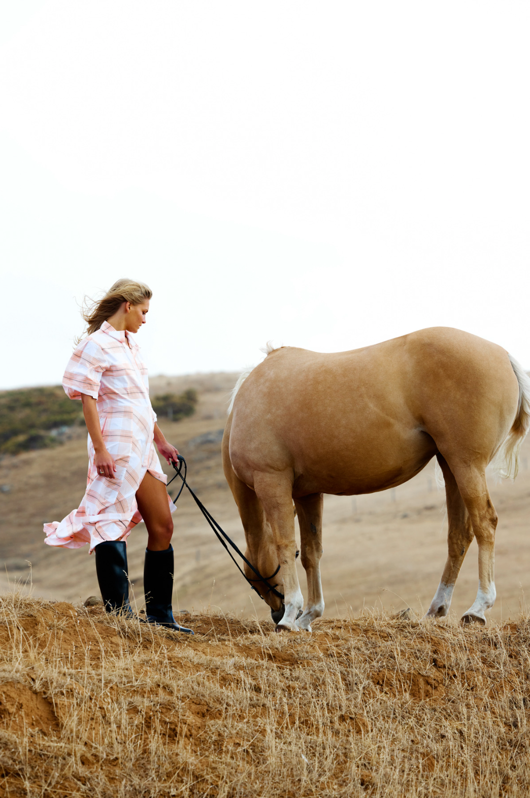 Rising Trot Dress
