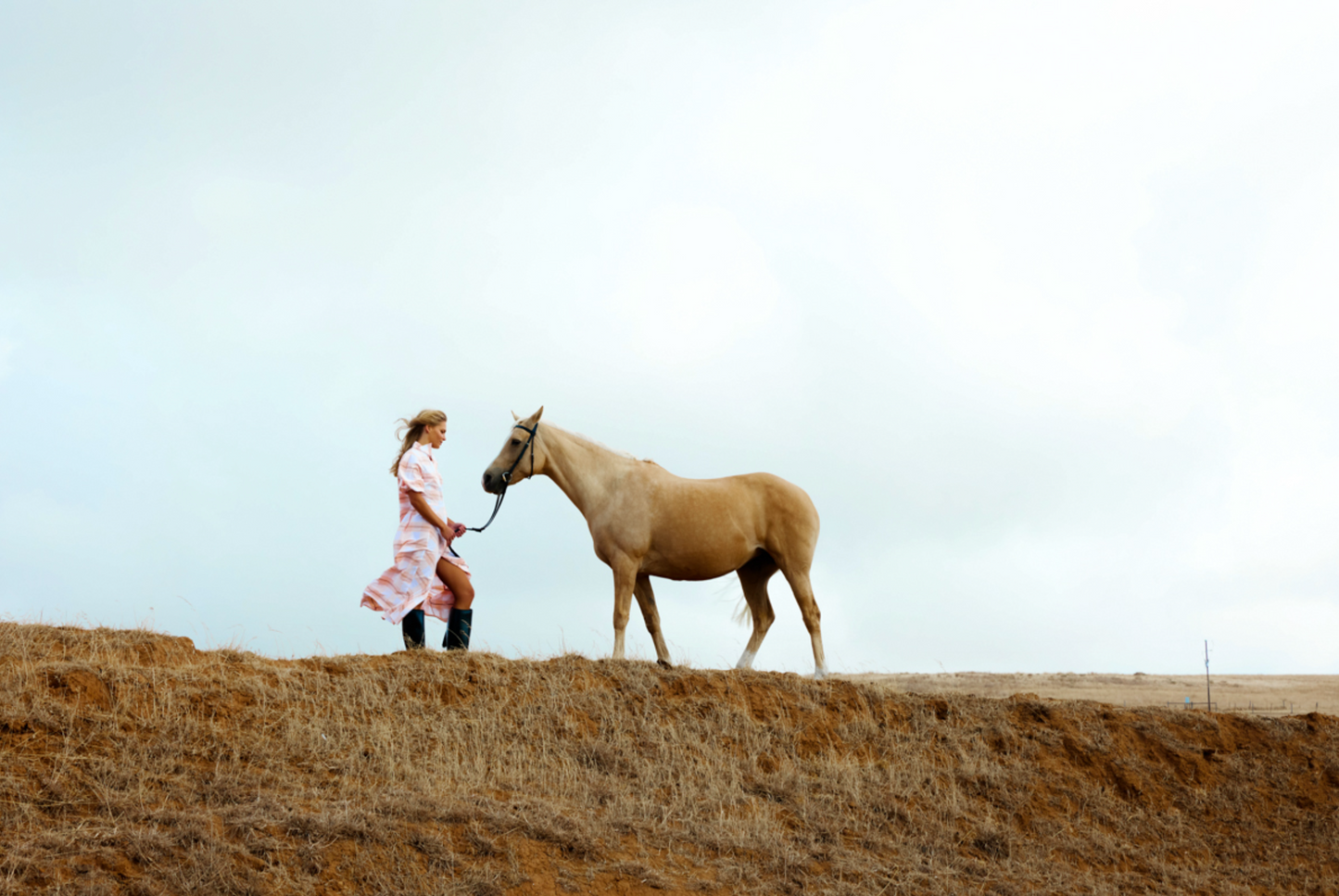 Rising Trot Dress