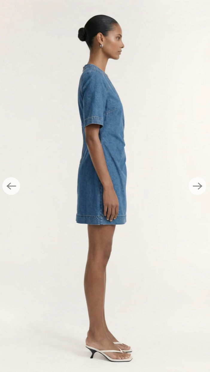 Ari Warp Dress