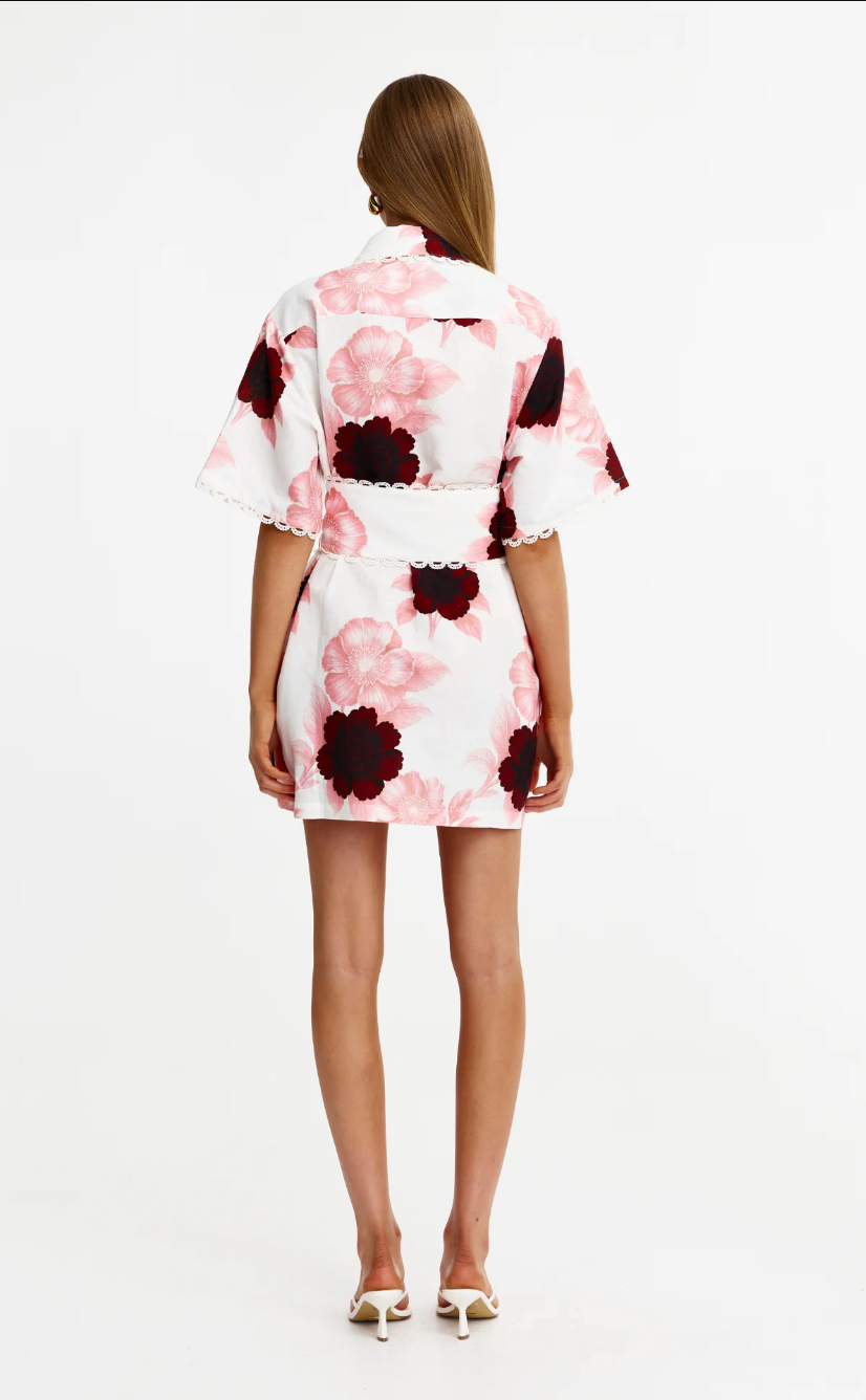 Sierra Mini Dress Rosalia