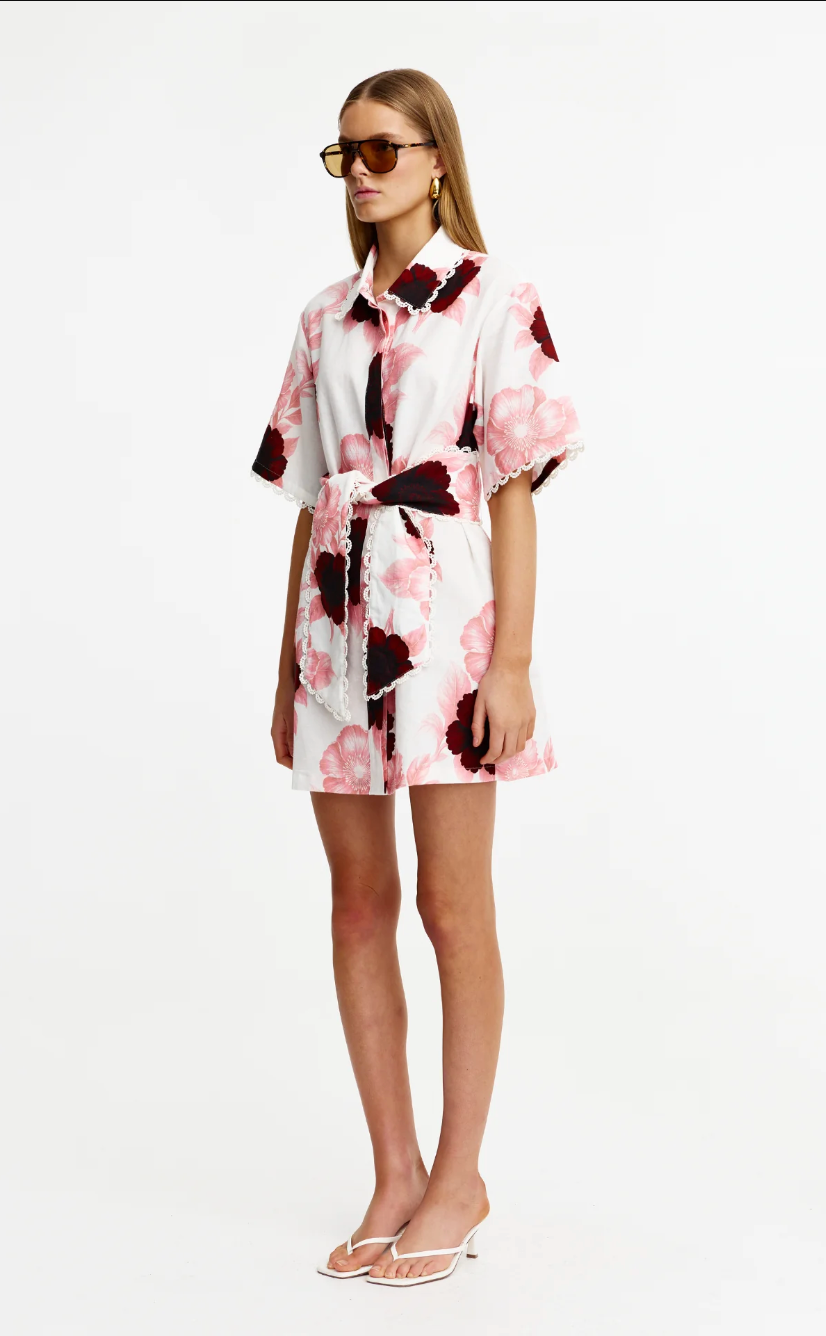 Sierra Mini Dress Rosalia