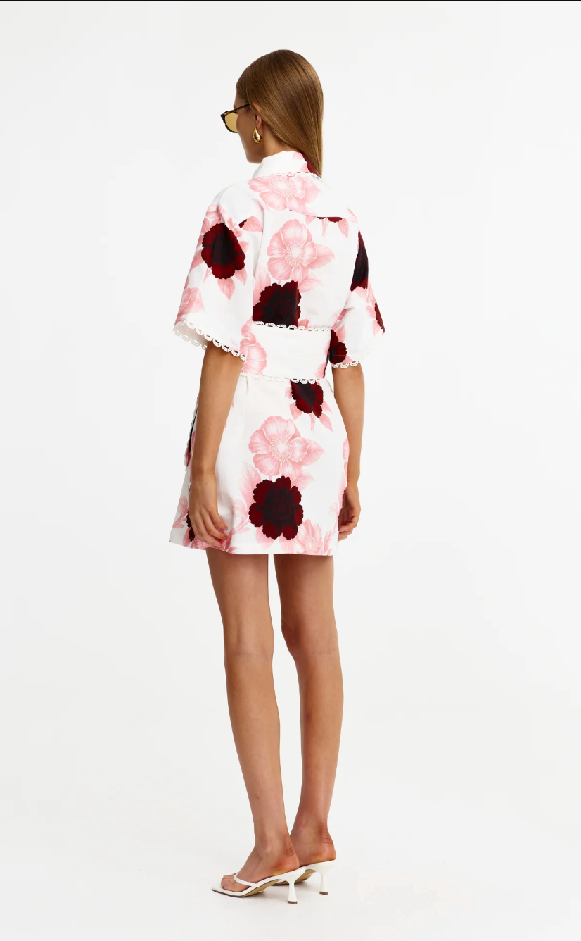 Sierra Mini Dress Rosalia